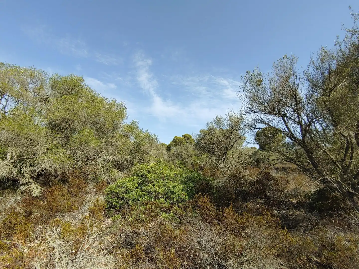 Residencial en venta en Polígono Parcela 12, Cala Pi - Vallgornera