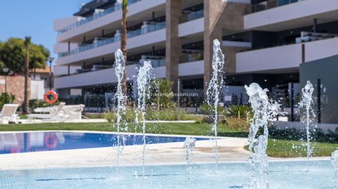 Photo 3 of Ground floor for sale in Playa Flamenca, Orihuela