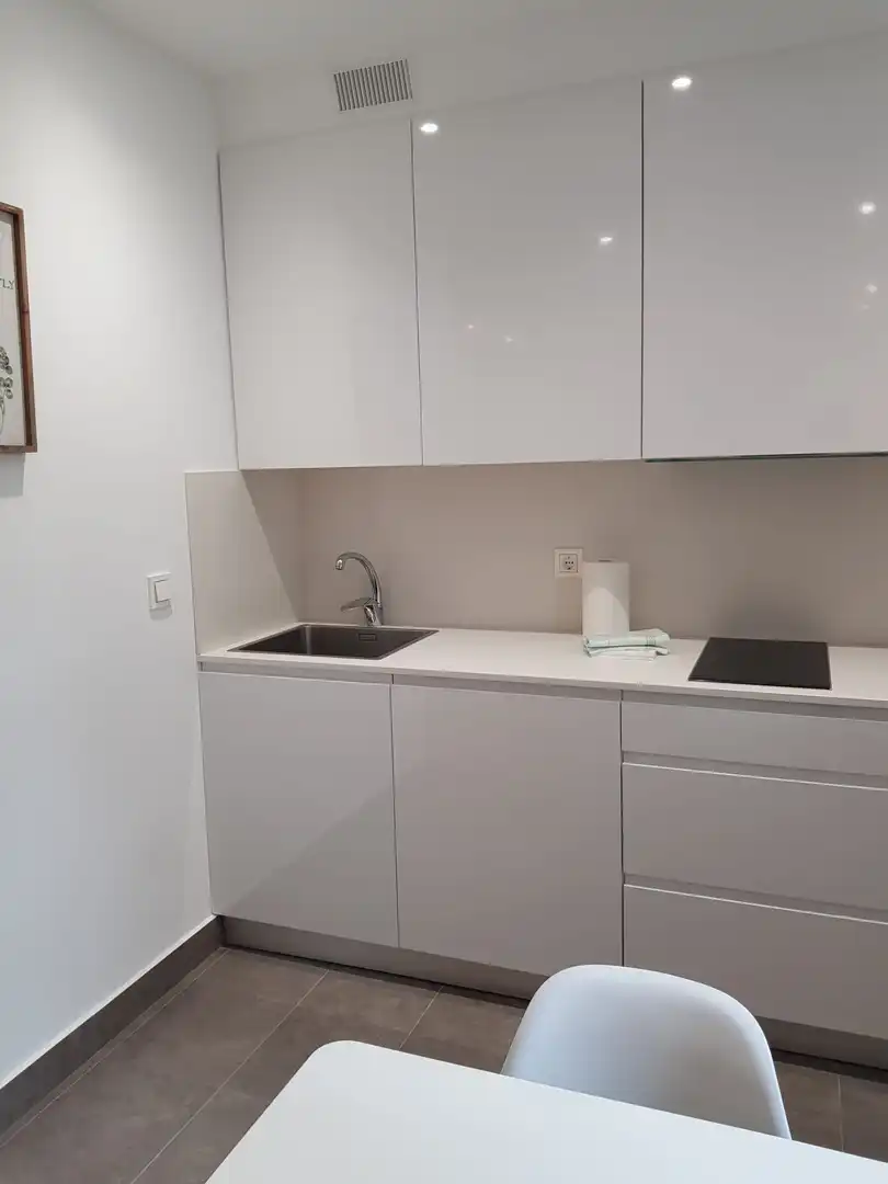 Cocina de Apartamento de alquiler en Lezo