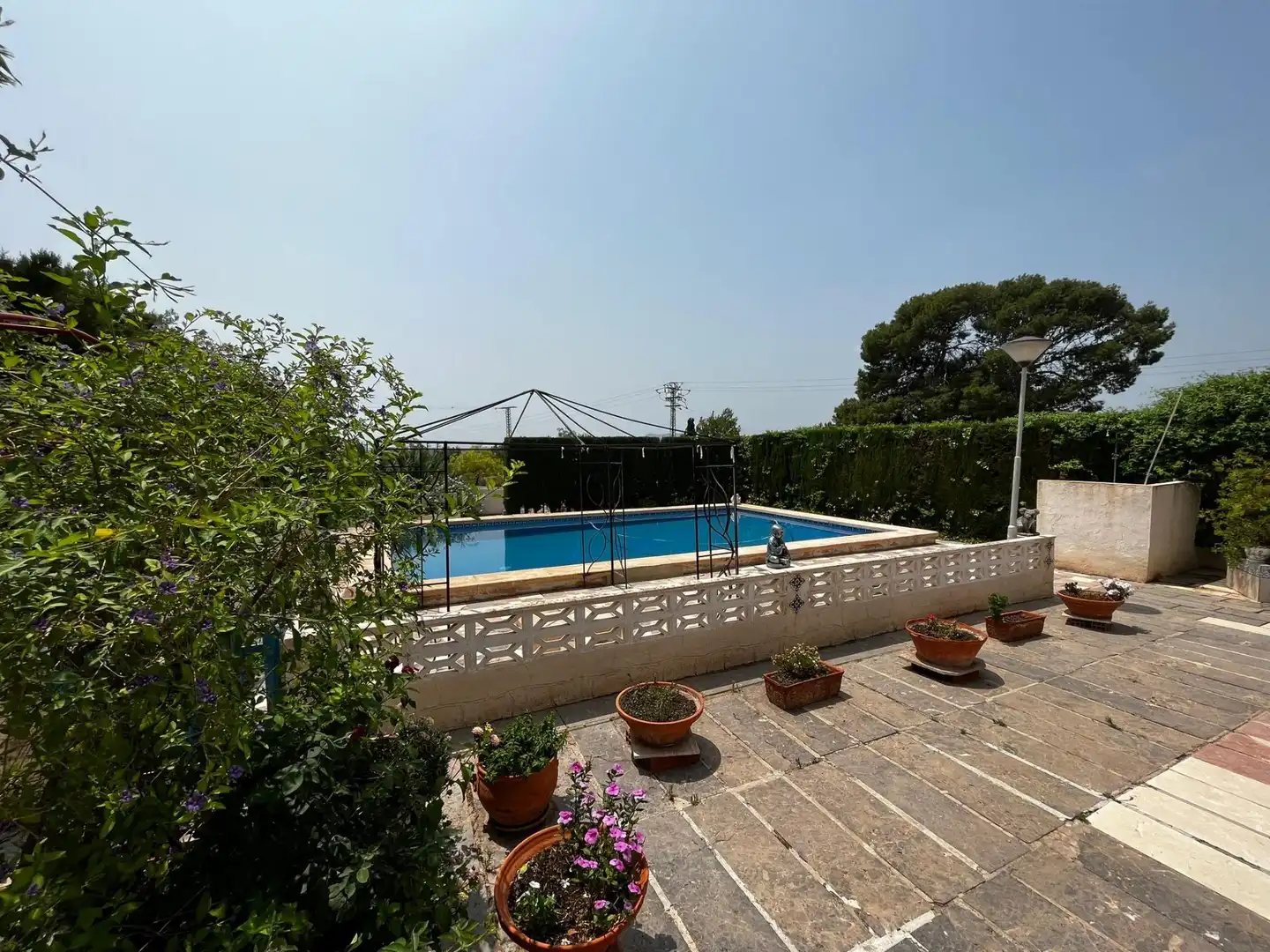Piscina de Casa o xalet en venda en Novelda amb Jardí privat i Piscina
