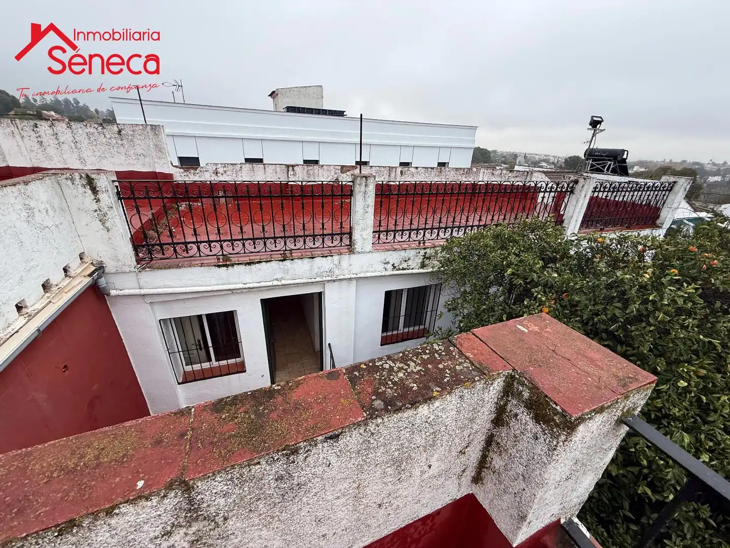 Exterior view of Houses for sale in Córdoba  with Swimming Pool