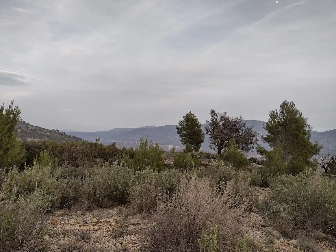 Terreny residencial en venda a Sierra Engarcerán, imagen 10