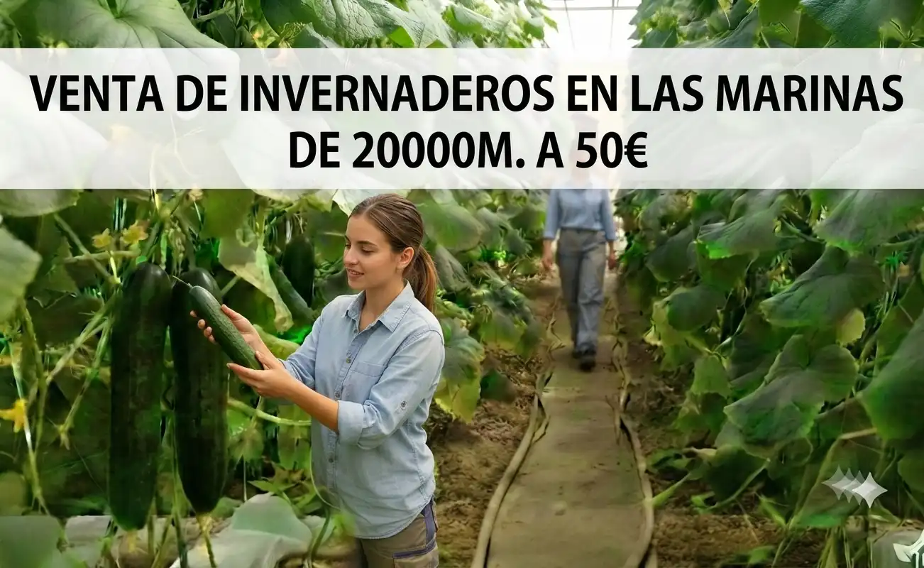 Rural land for sale in Avenida de las Marinas 224