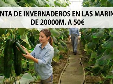 Terreno rustico in vendita a Avenida de las Marinas 224