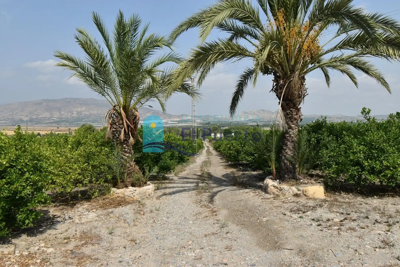 Casa o xalet en venda en Alhama de Murcia amb Jardí privat, Terrassa i Moblat