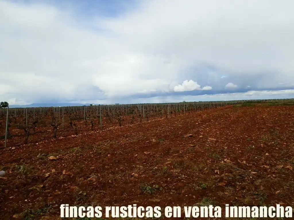 Terreno rustico in vendita a Pozuelo de Calatrava, imagen 17