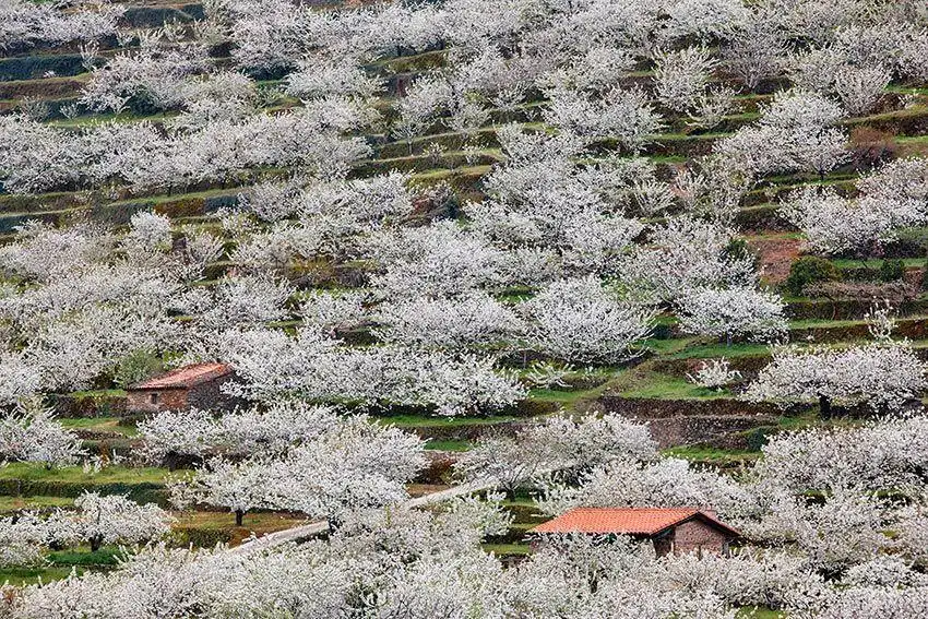 Jardí de Casa o xalet en venda en Navaconcejo amb Aire condicionat, Calefacció i Forn