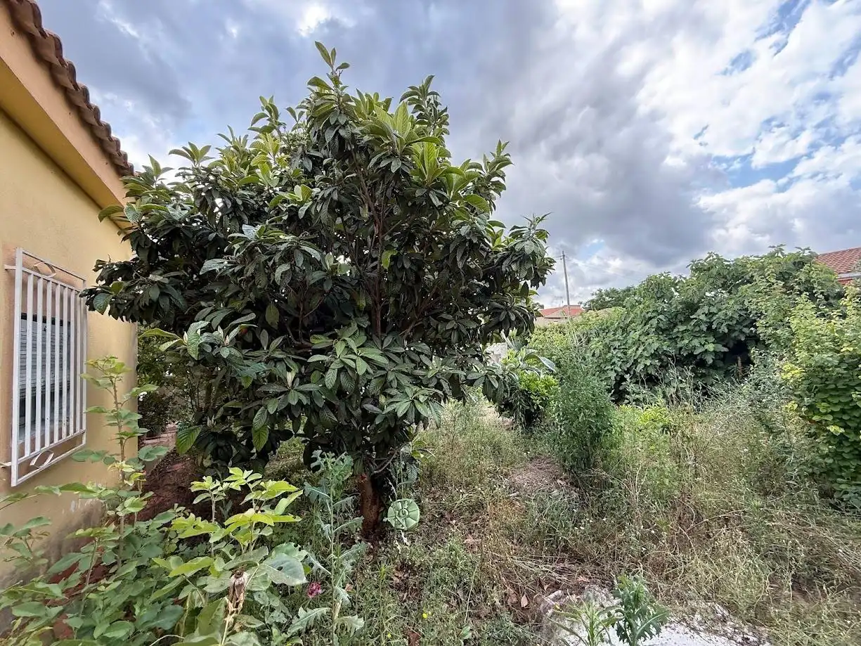 Detached house with pool for sale in Montserrat, imagen 8
