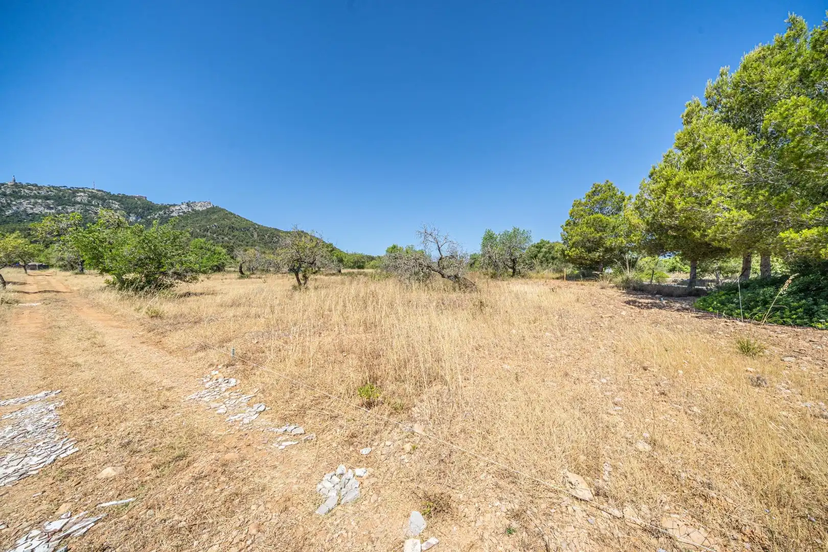 Rural land for sale in Felanitx Poble, imagen 3
