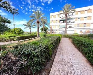 Exterior view of Flat for sale in Alicante / Alacant