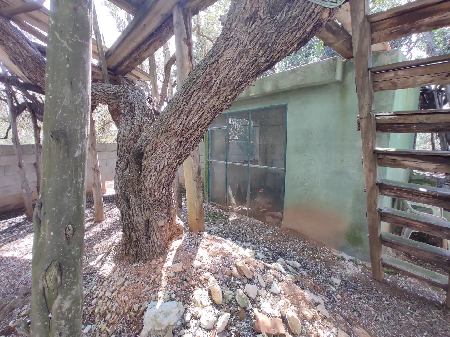 Terreno rustico in vendita a Traiguera, imagen 14