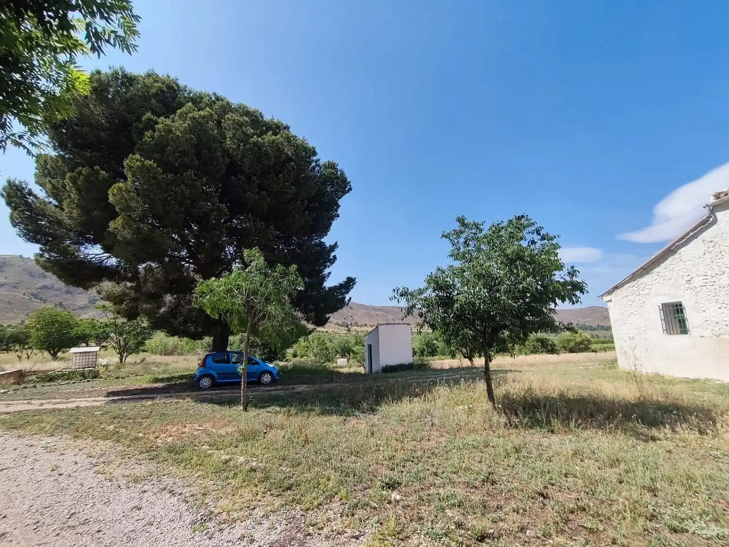 Country homes for sale in Yecla