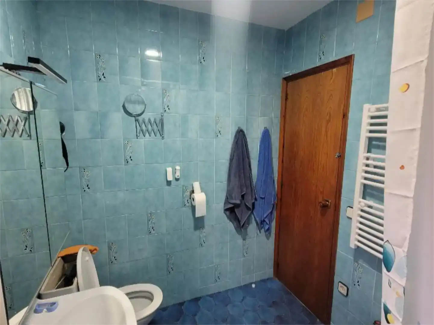 Bany de Casa o xalet en venda en Barberà del Vallès amb Balcó