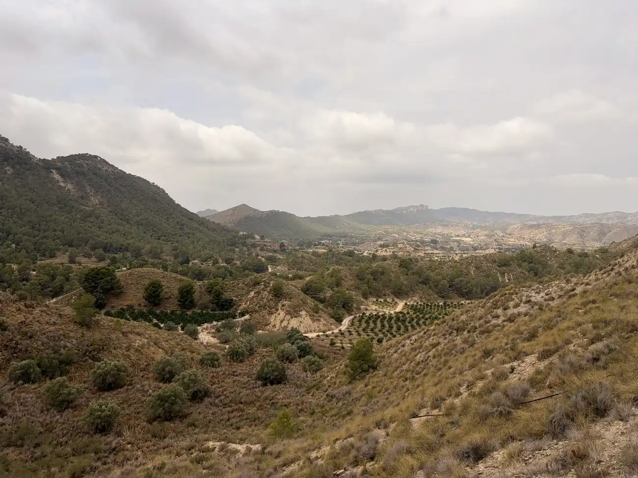Casa rústica amb piscina en venda a Campo de Murcia, imagen 2