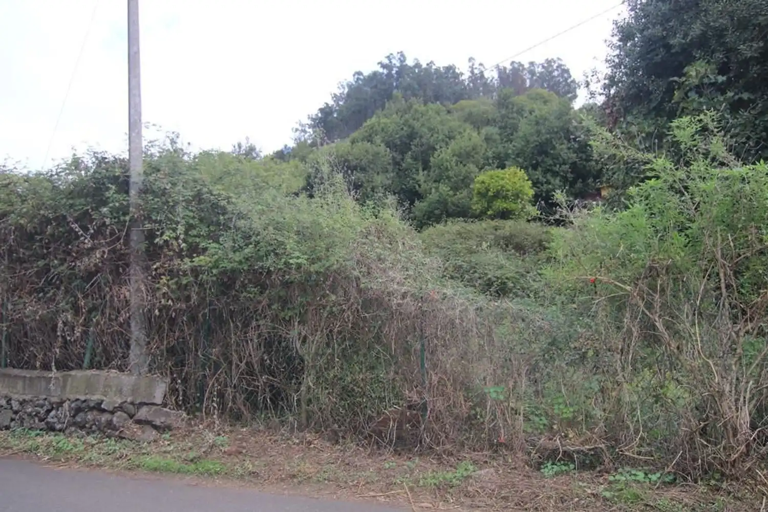 Terreno en venta en Valleseco