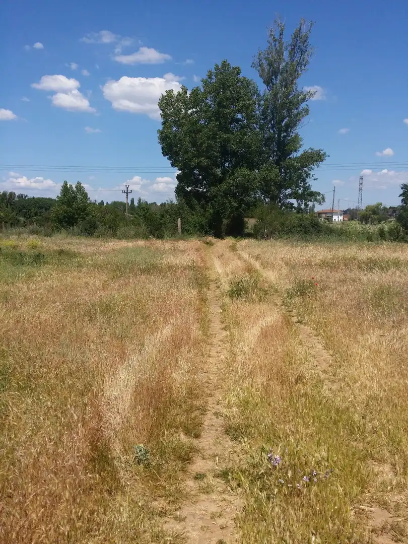 Terreni e lotti in vendita a C/ Gorrión, imagen 7