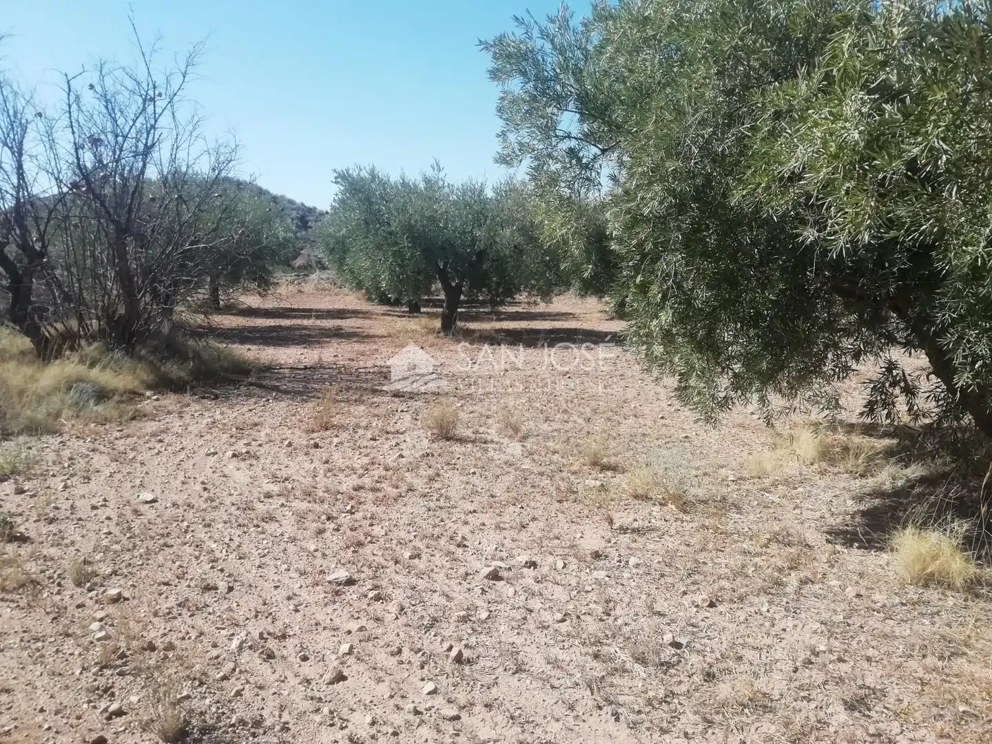 Lands and plots for sale in Abanilla, imagen 10