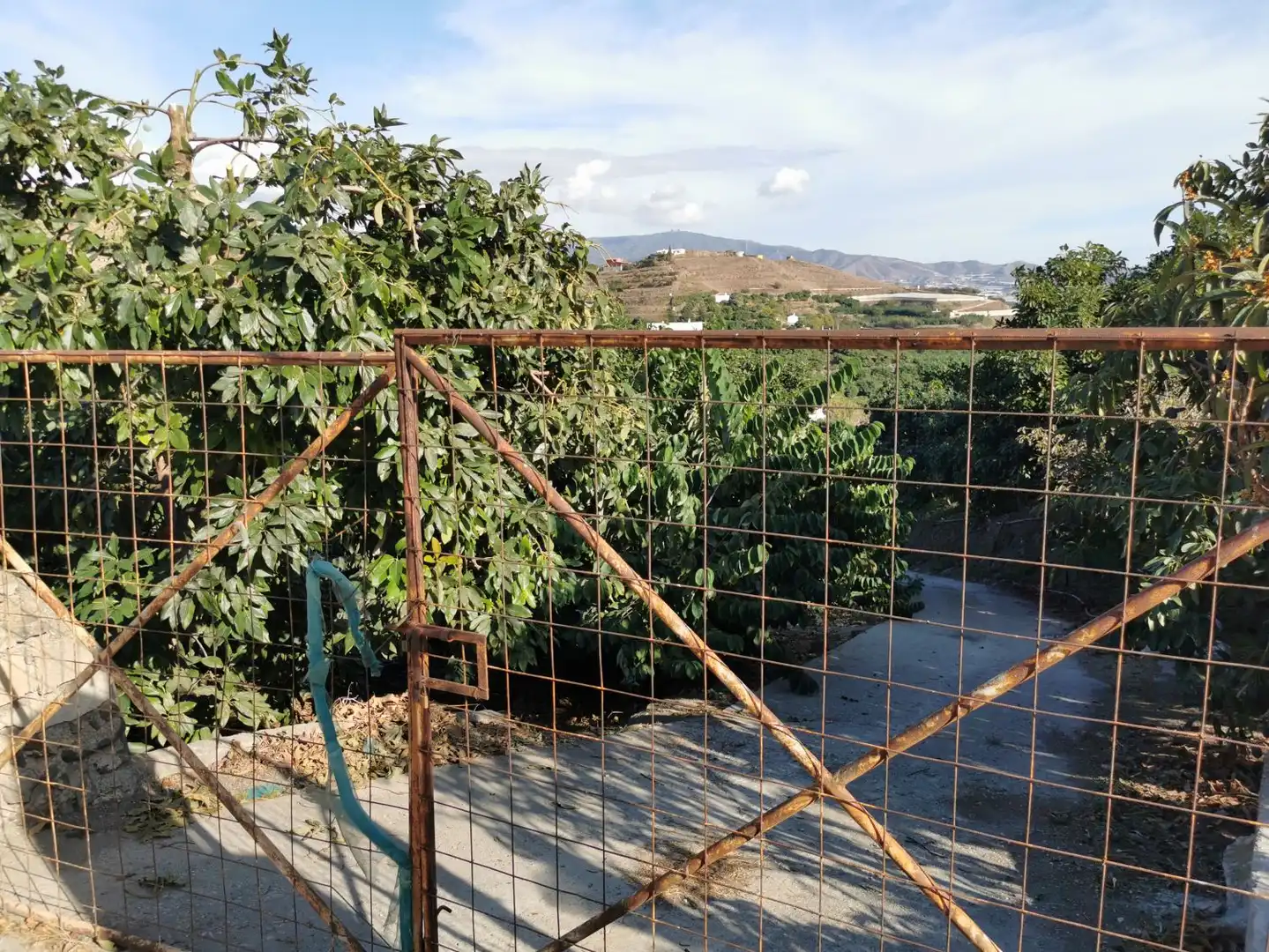 Casa rústica en venda a Motril  ciudad, imagen 3