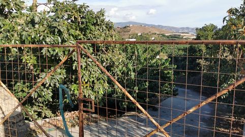 Foto 3 de Finca rústica en venda a Motril ciudad, Motril