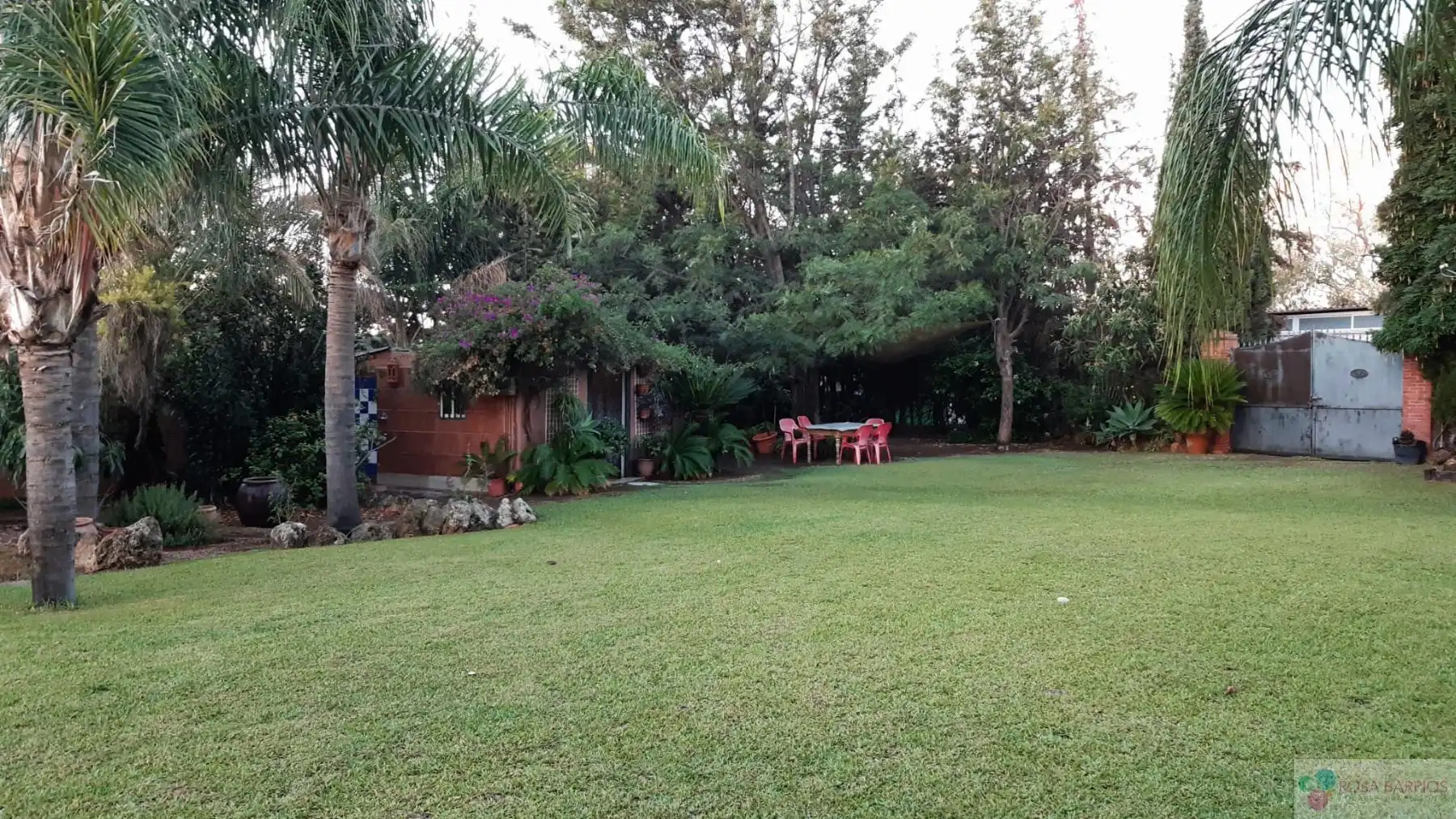 Terreni e lotti in vendita a San Pedro de Alcántara, imagen 5