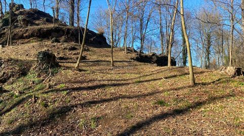 Finca 2.300 m2 garrotxa, immagine 2