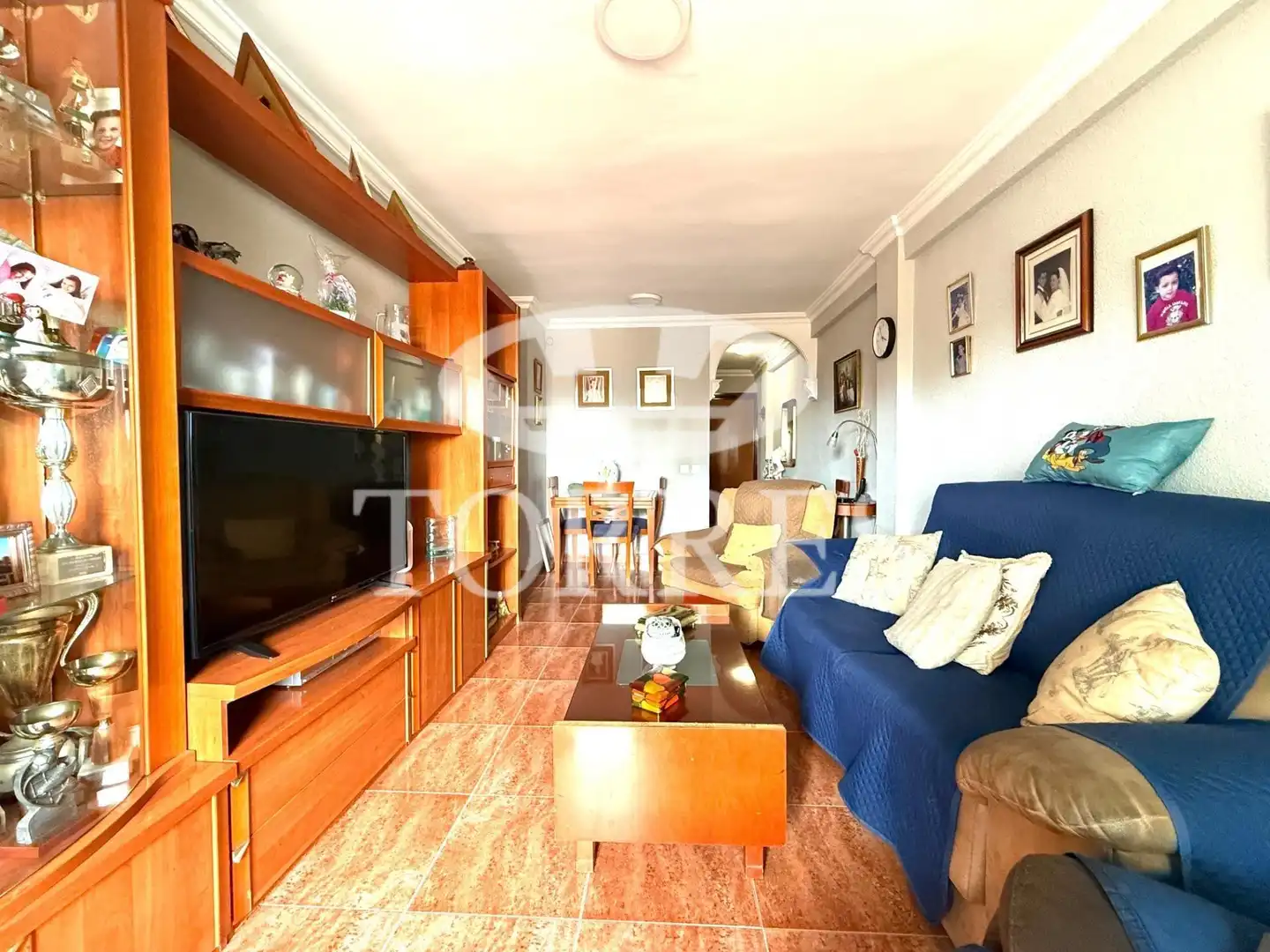Living room of Flat for sale in Málaga Capital  with Air Conditioner, Terrace and Furnished