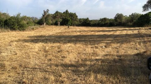 Foto 3 de Residencial en venta en Capdepera Poble, Capdepera