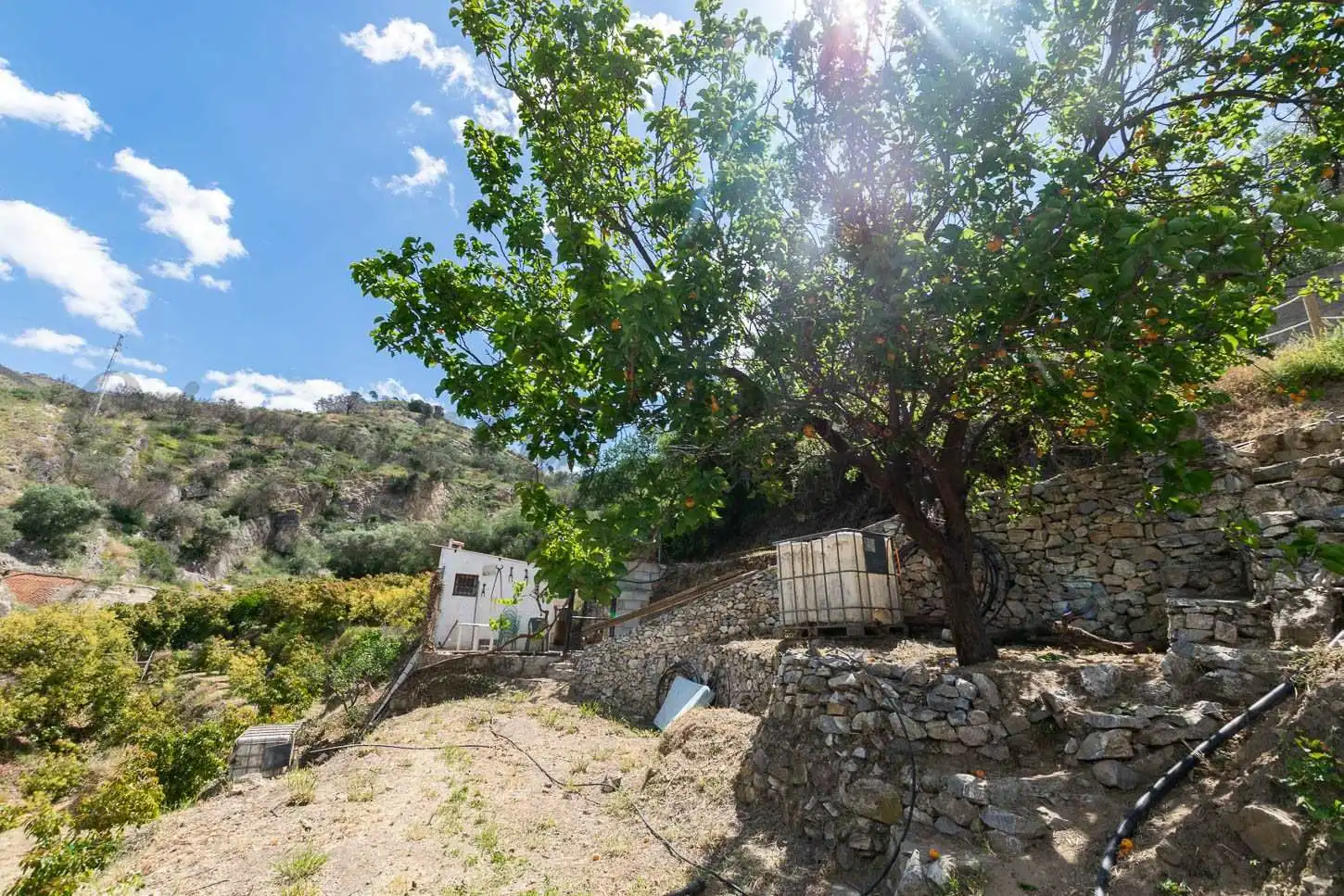 Casa con jardín en venta en Cómpeta, imagen 13