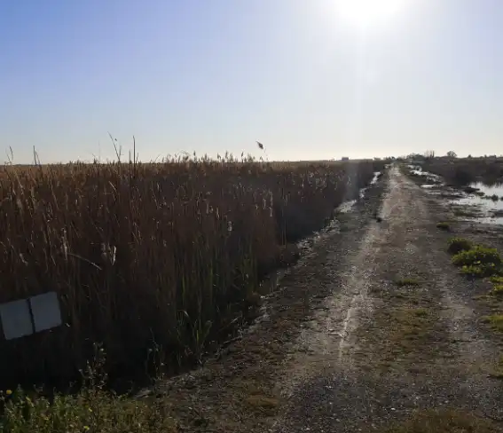 Rustikales Grundstück zum Verkauf in La Llosa, imagen 7