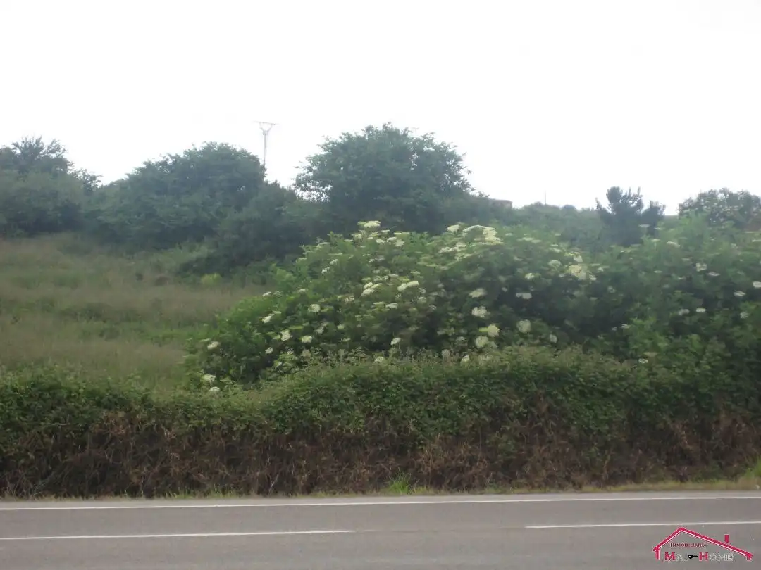 Terreny residencial en venda a Camino reocin, imagen 10