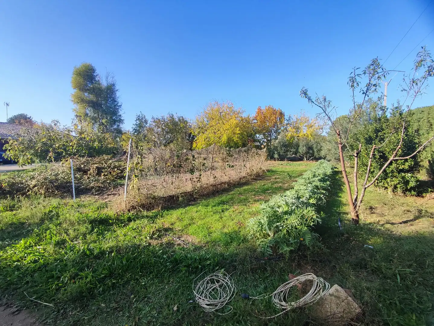 Casa con piscina en venta en Carretera la Solana-Tomelloso, imagen 38