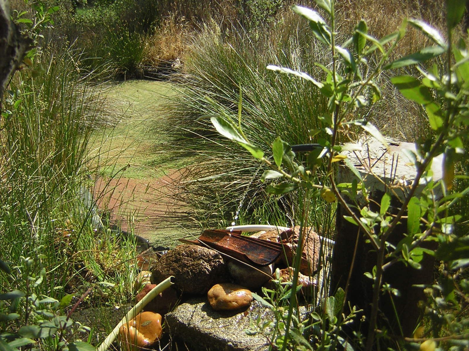 Jardín de Finca rústica en venta en Almorox