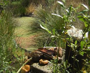 Jardí de Finca rústica en venda en Almorox