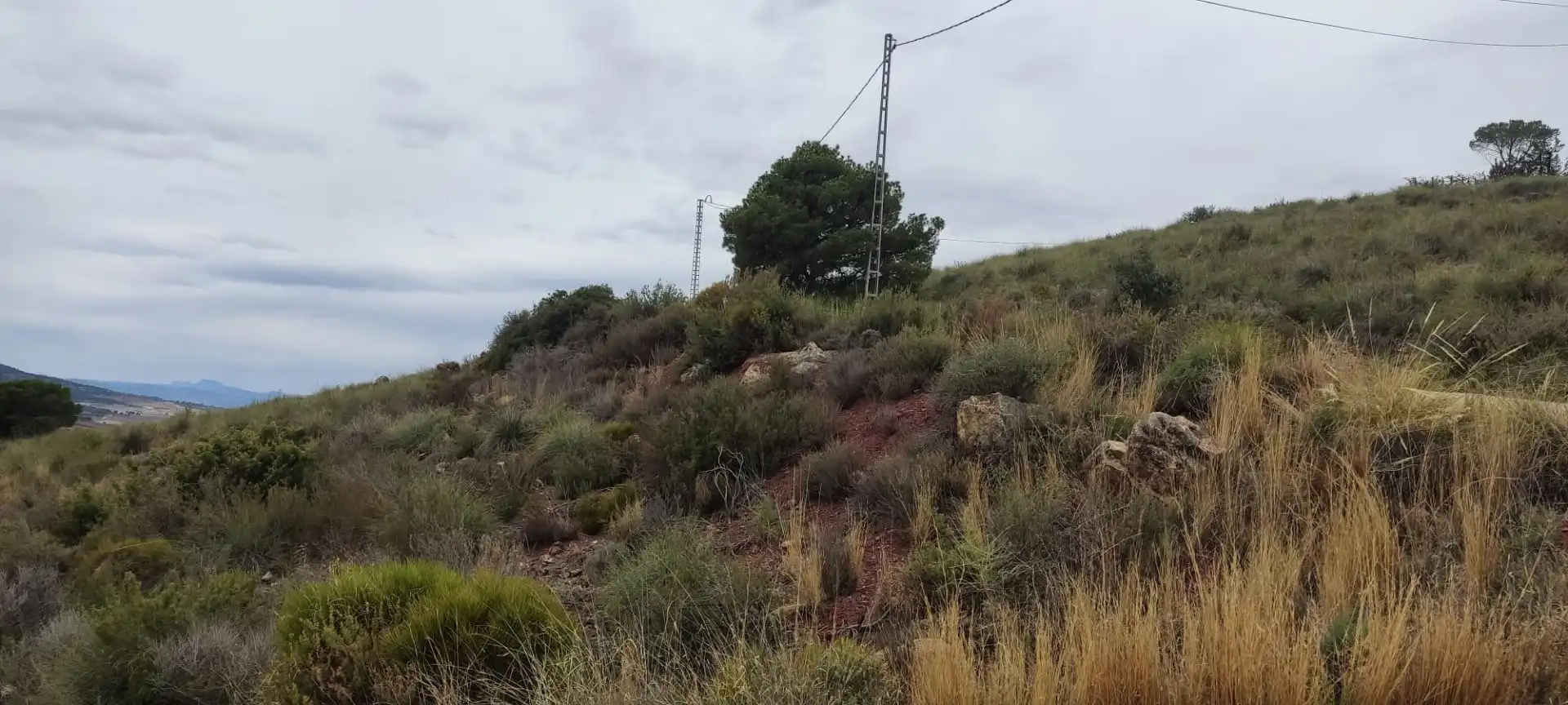 Grundstücke und Bauplätze zum Verkauf in Alhama, imagen 6