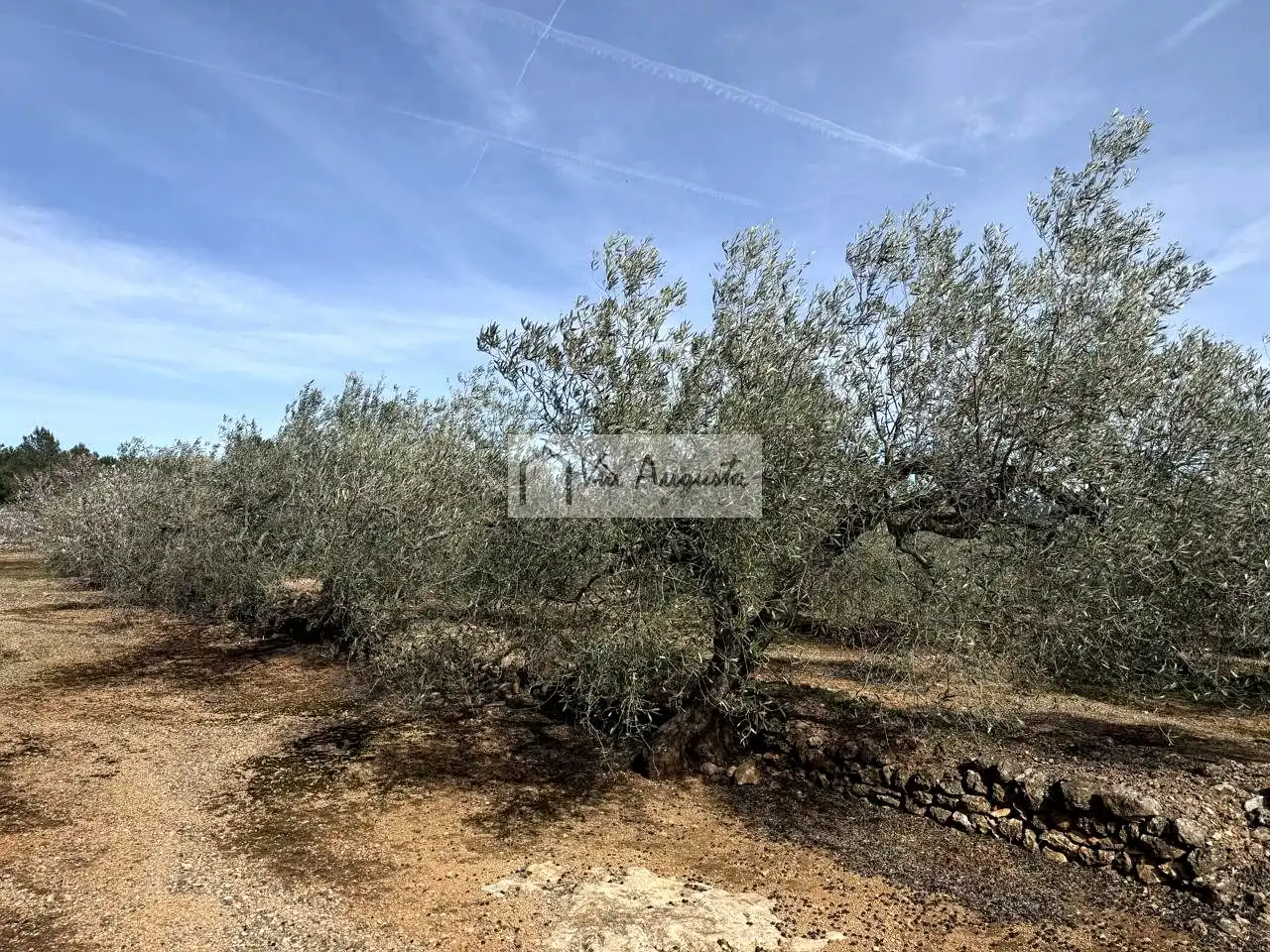 Finca rústica en venda en El Perelló