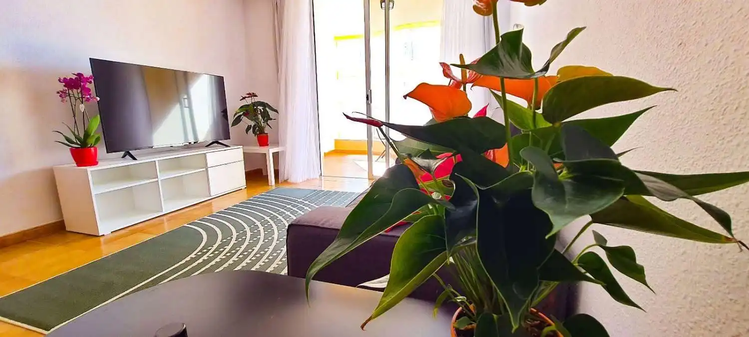 Sala d'estar de Apartament en venda en Santa Cruz de Tenerife amb Terrassa, Piscina i Moblat