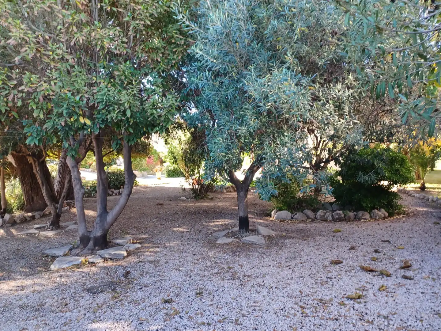 Jardí de Casa o xalet en venda en Cubelles amb Jardí privat