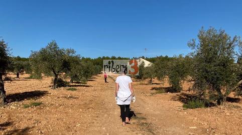 Foto 3 de Finca rústica en venta en Paraje Corral de Narro, Pozohondo, Albacete