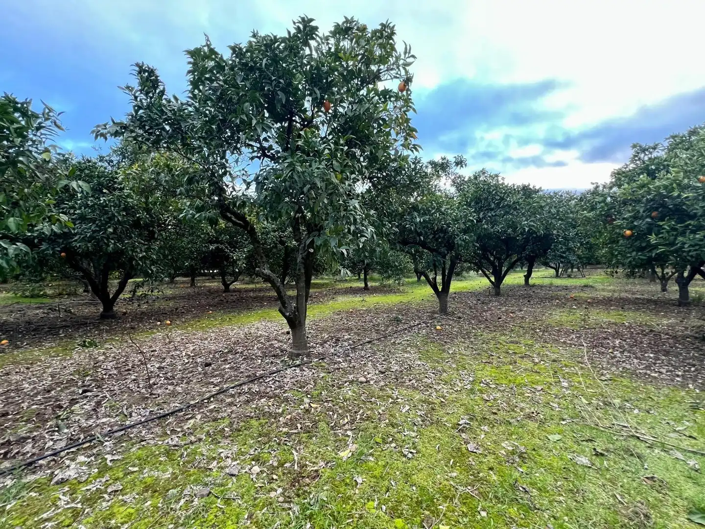 Villa mit Garten zum Verkauf in Periurbano Oeste - Sierra, imagen 5