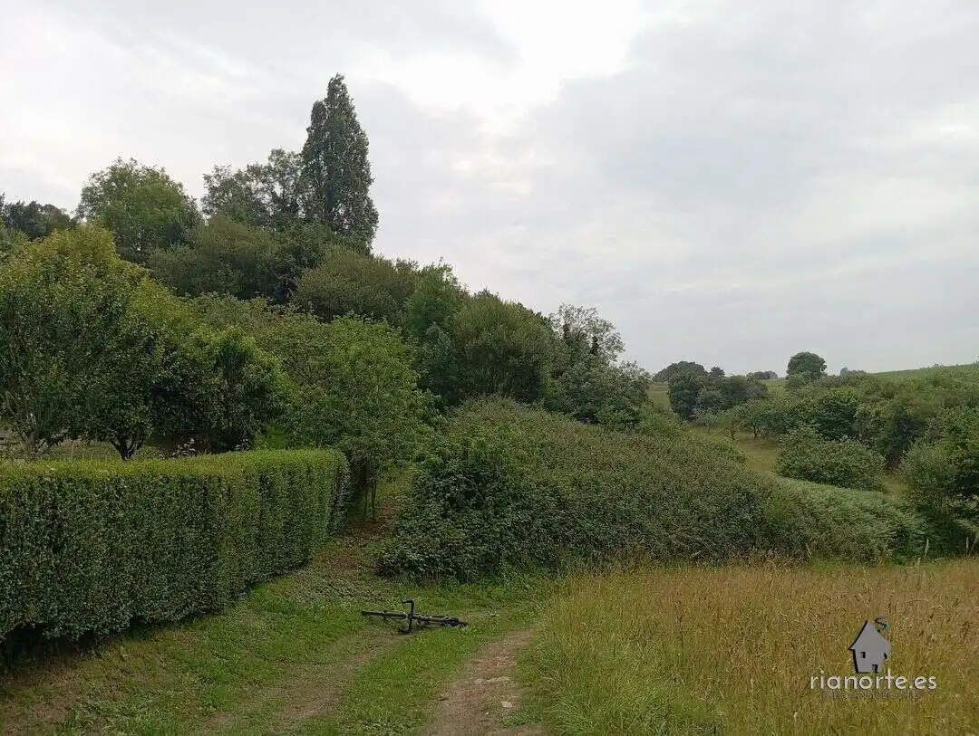 Terreni e lotti in vendita a Pillarno, imagen 5