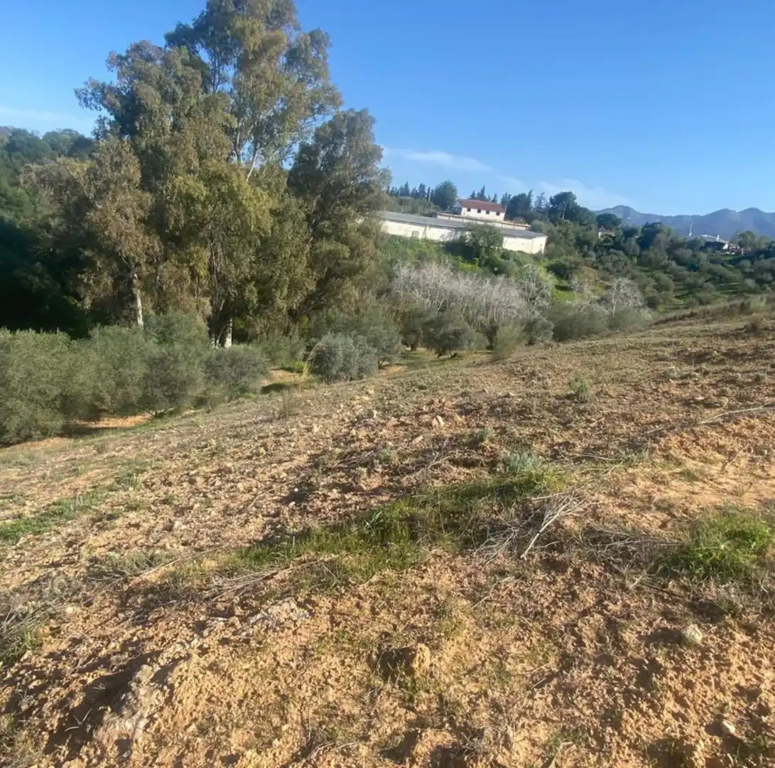 Terreni e lotti in vendita a Centro, imagen 9
