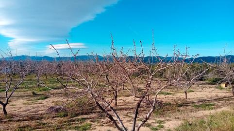 Foto 2 de Terreny en venda a Partida Monterols, Mestral, Tarragona