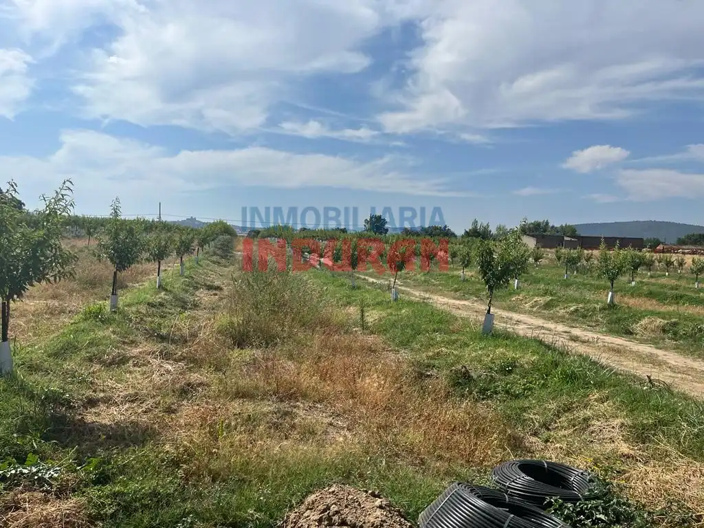 Casa rústica en venda a Belvís de Monroy, imagen 6