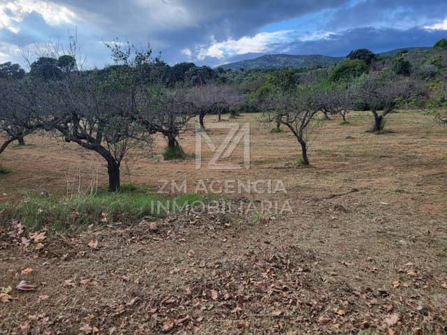 Terreno en Venta en Traiguera