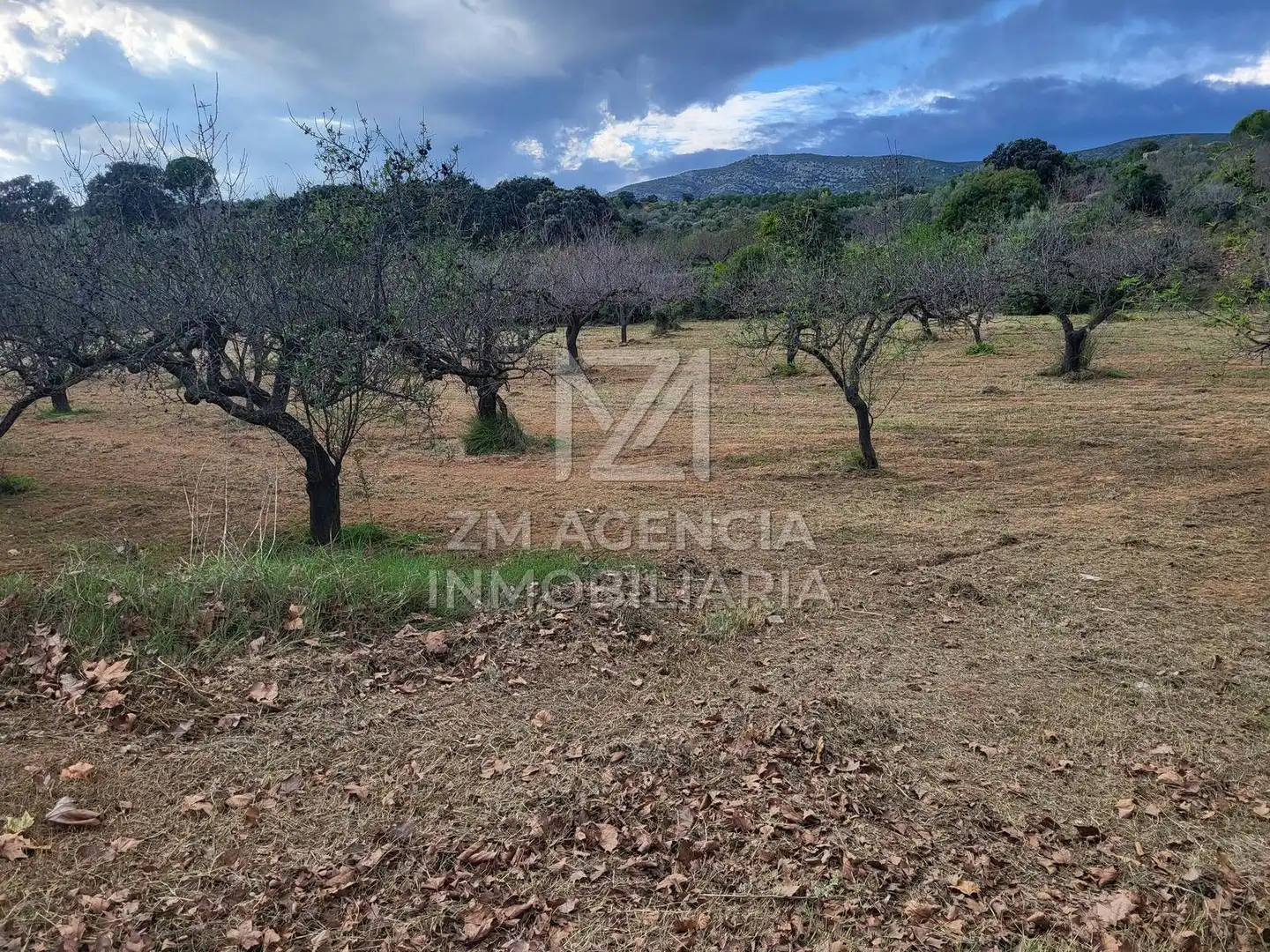 Terreno rustico in vendita a Traiguera