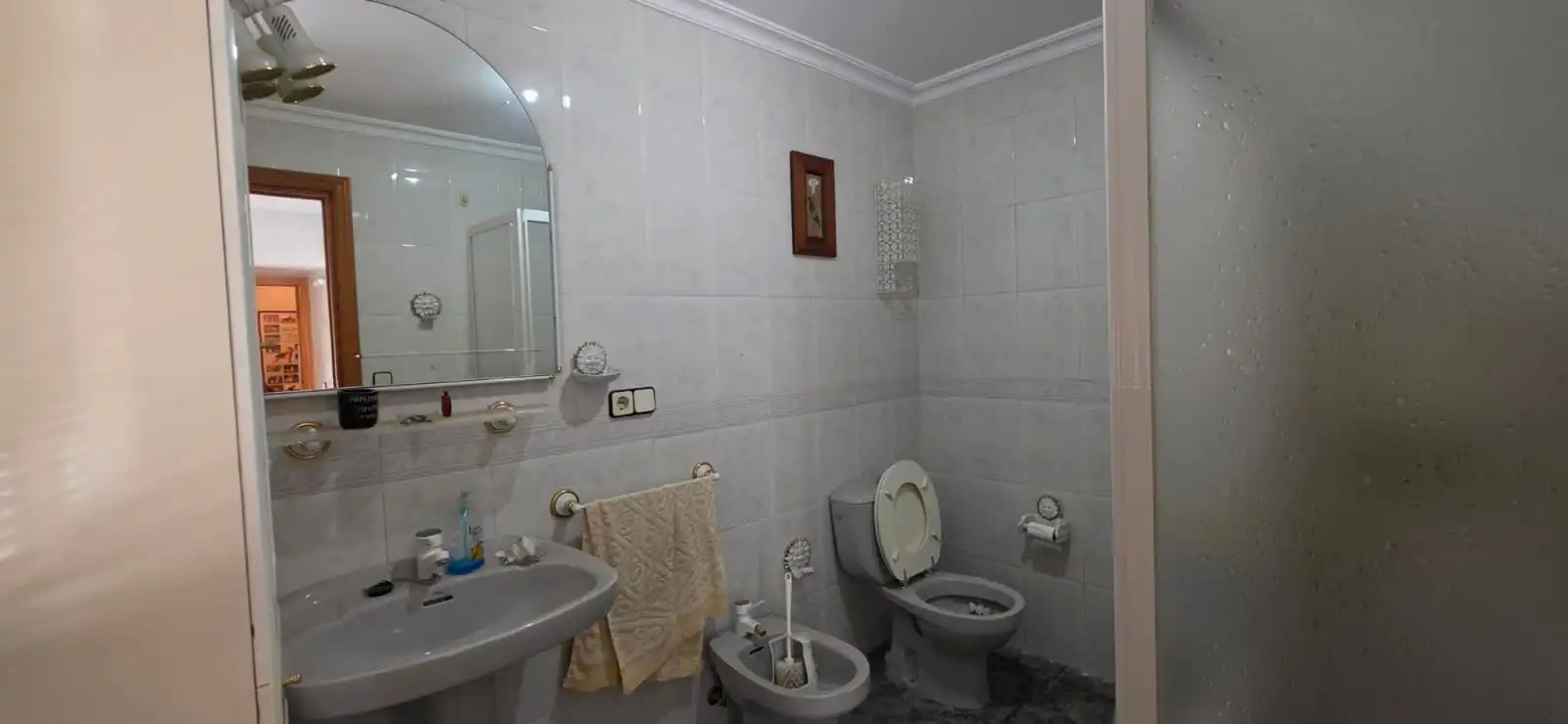 Bany de Casa o xalet en venda en Linares amb Terrassa, Traster i Forn