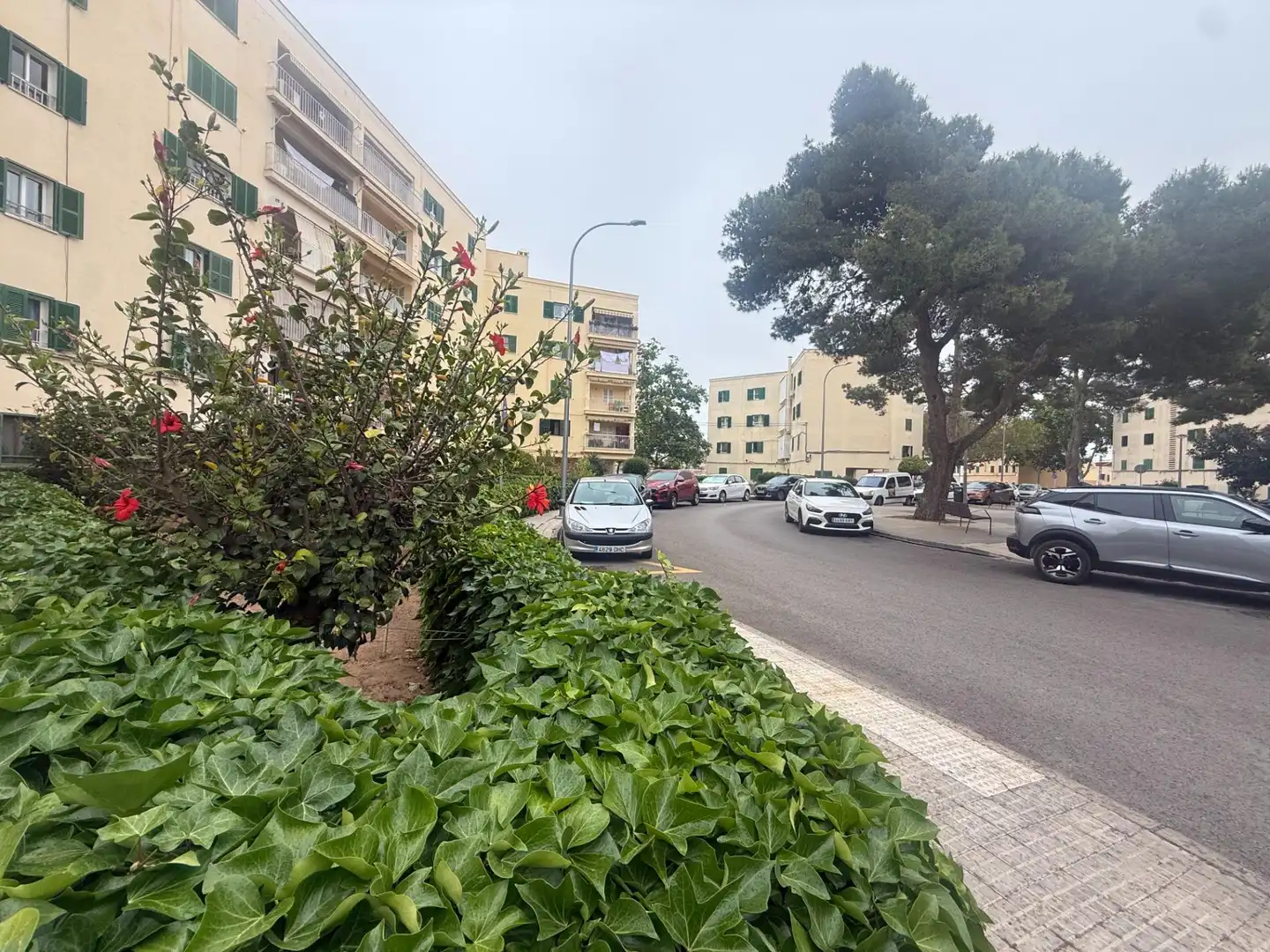 Vista exterior de Apartamento en venta en  Palma de Mallorca con Aire acondicionado