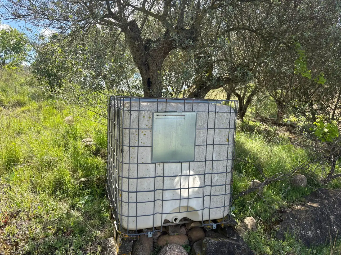 Garden of Land for sale in Cenicero