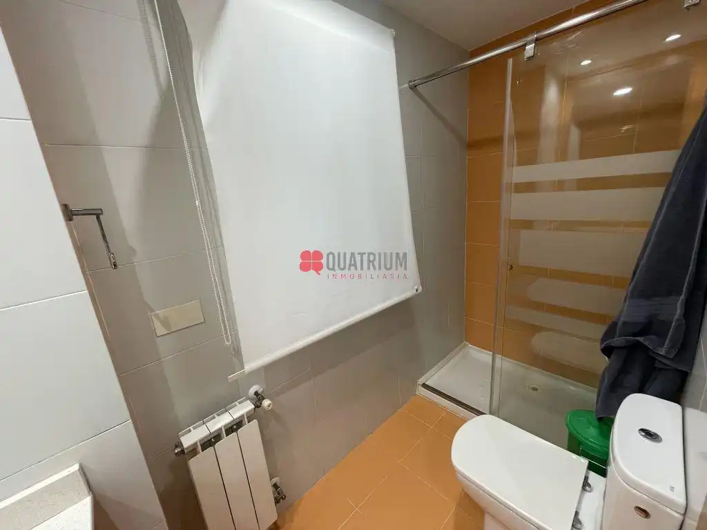 Appartamento con terrazza in vendita a Avenida Rosalía de Castro, imagen 10
