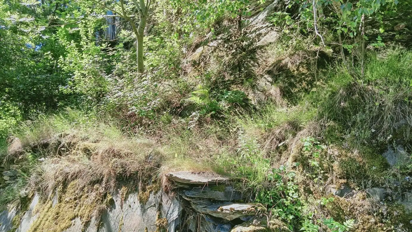 Casa o xalet en venda en La Guingueta d'Àneu amb Traster